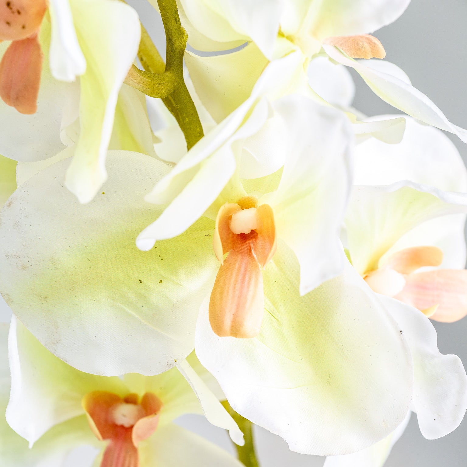 AZAHAR FLOWER